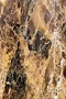 Conceptum Alfombra de Pasillo Multicolor 80 x 150 cm